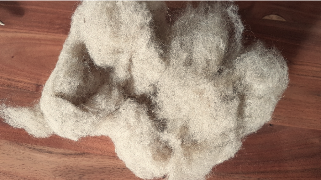 Schafwolle Ulten_beige